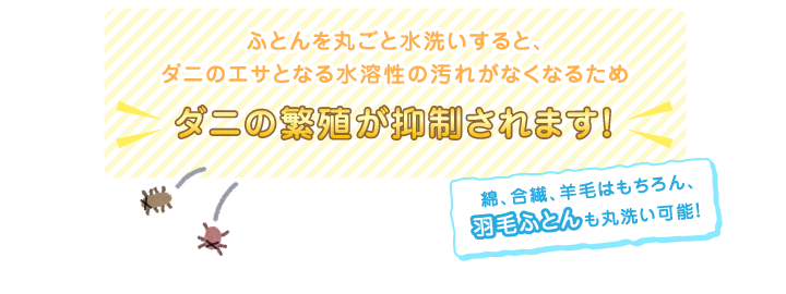 ふとんを丸ごと水洗いすると、ダニのエサとなる水溶性の汚れがなくなるためダニの繁殖が抑制されます！